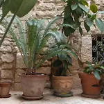 Zelda Casa Tatil Evi
