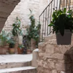 Zelda Casa Giovinazzo