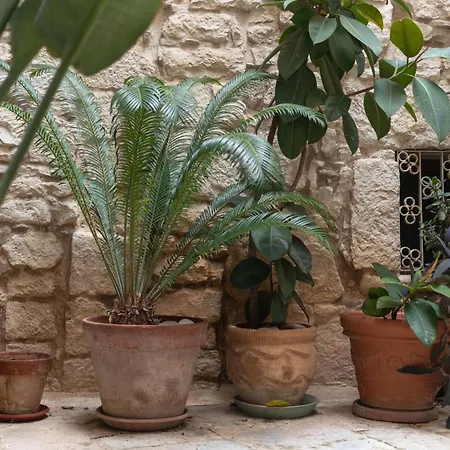 Zelda Casa בית נופש