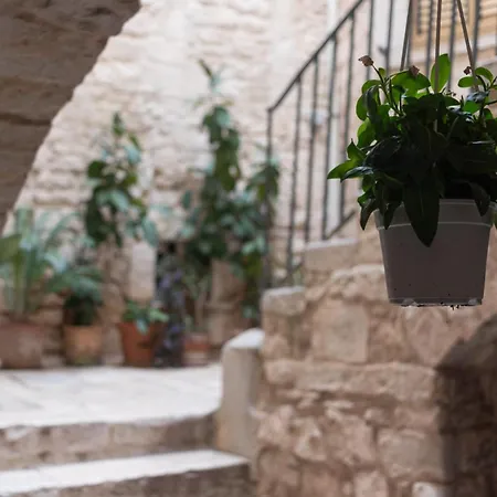 Zelda Casa Giovinazzo