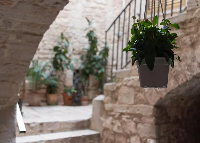 度假居 Zelda Casa