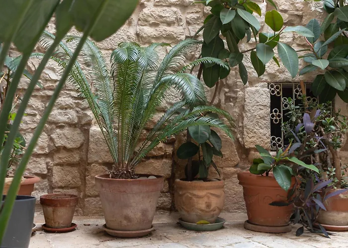 Zelda Casa * Giovinazzo